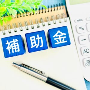 【2025年】IT導入補助金はECサイト制作対象外！代わりに使える補助金を紹介