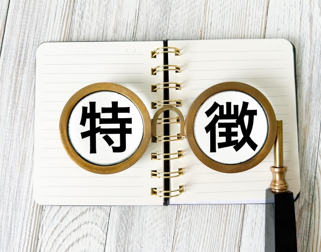 楽天市場への出店前に知っておくべき特徴と実績
